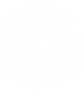 What We Solve Image