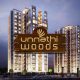 Raunak Unnathi Woods Property Review