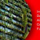How Environmentally Conscious Is India’s Real Estate Industry?
