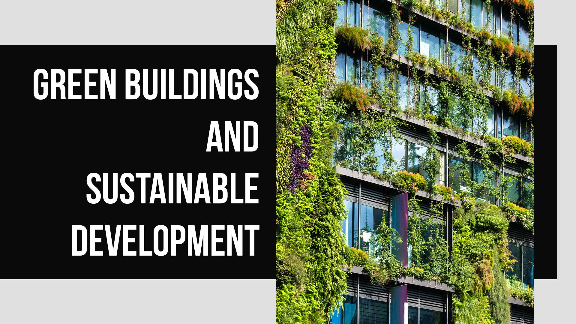 Ways Green Buildings Can Meet Sustainable Development | RealtyNXT